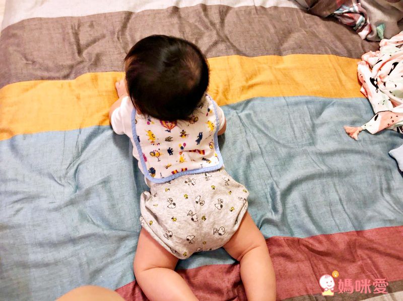 日本 Combi - mini系列-純棉紗布吸汗巾2入-愛心 (F (39x20cm))