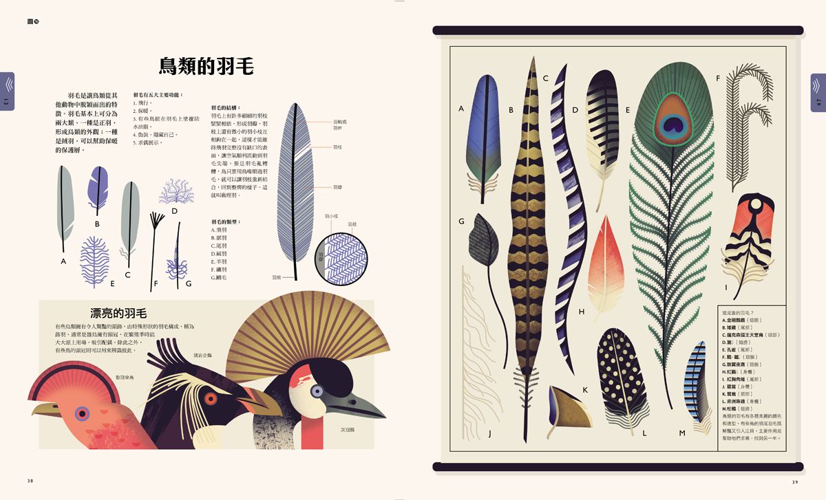 自然大視界：不可思議的生態奧祕圖鑑