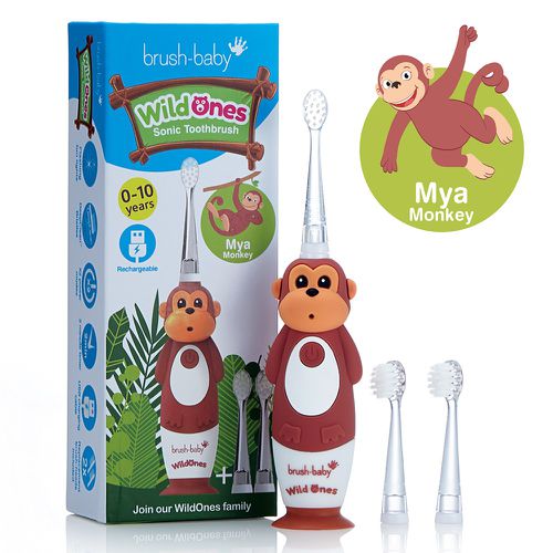 英國 brush-baby - 充電式聲波電動牙刷-猴子-馬雅-0-10歲