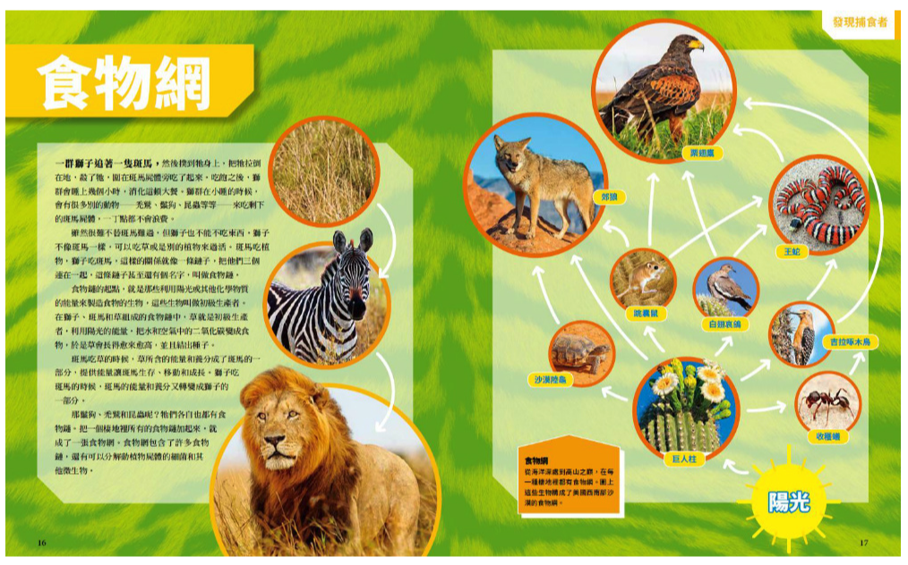 國家地理終極捕食動物百科：有史以來最完整的世界捕食動物大全 (精裝 / 272頁/全彩印刷)