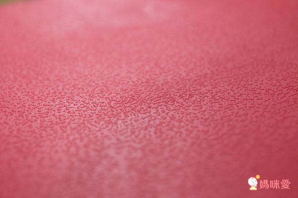 美國 PRINCE LIONHEART