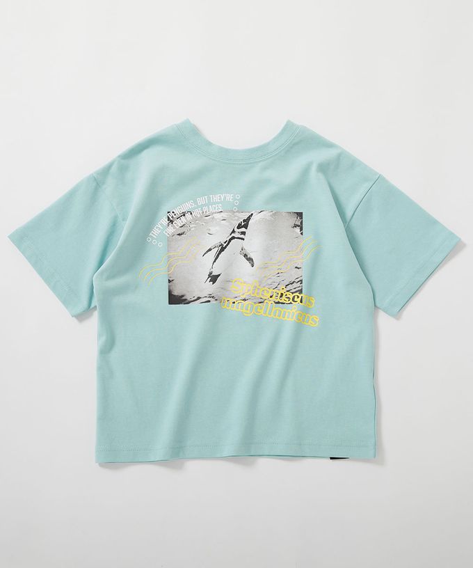 日本 devirock - 接觸涼感 抗UV變色短袖上衣(神戶水族館聯名）-企鵝-冰河綠