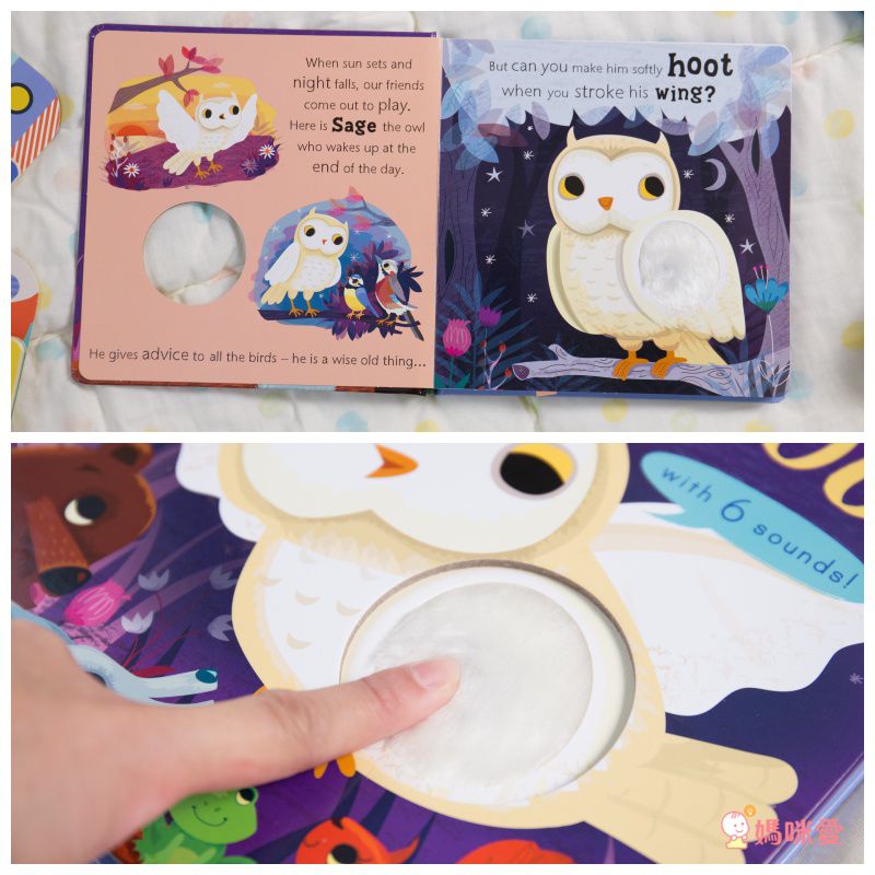 Owl says Hoot-Noisy Touch and Feel 熱鬧的森林夜晚 (觸摸音效書)
