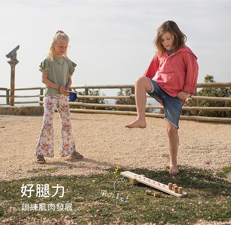 荷蘭BS - 忍者向上飛