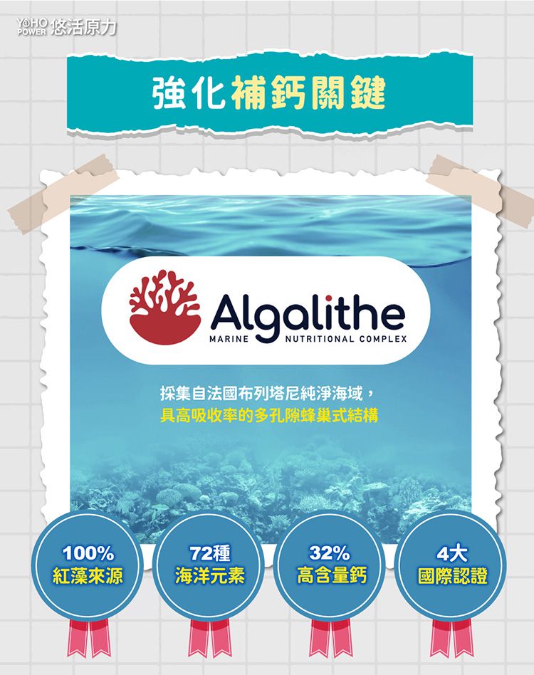 悠活原力 - YOYO敏立清益生菌-乳酸原味-60包/盒+小悠活兒童海藻鈣+牛奶鈣咀嚼錠-60錠/瓶(贈柳橙C軟糖2包)