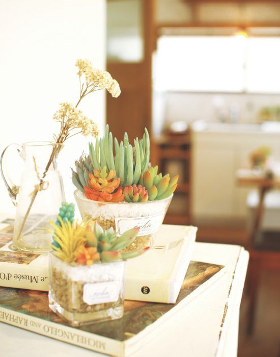 日本 KISHIMA - CT觸媒 消臭仿真多肉盆栽-圓盆-KH-61185 (12x12.5x15cm)