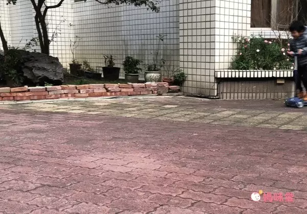 Maserati - 瑪莎拉蒂授權滑板車-藍色-(發光輪+可折疊)