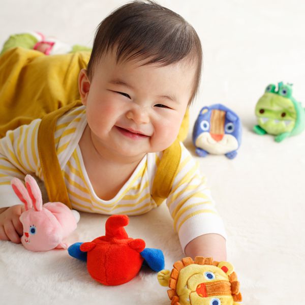 akachan honpo - Solby可愛動物布偶組