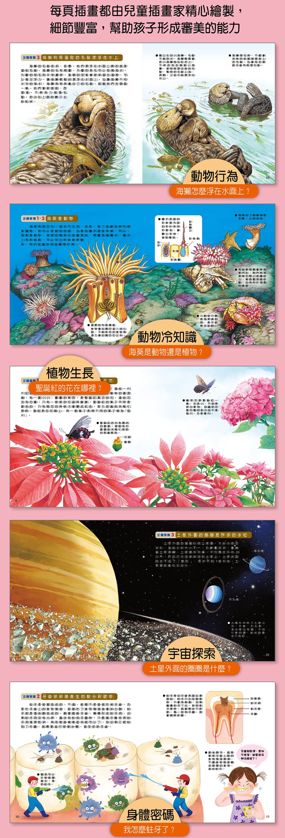 小牛頓科學教育有限公司 - WOW原來是這樣-56頁/22.6 x 24 cm/附注音-全彩-平裝