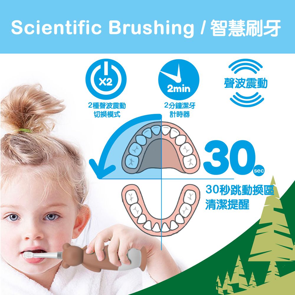 英國 brush-baby - 充電式聲波電動牙刷-棕熊-柏尼克-0-10歲