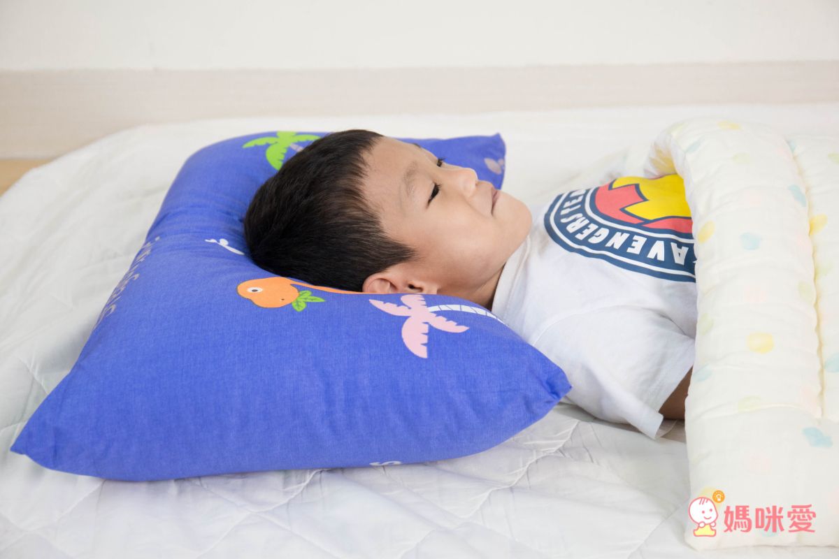 鴻宇 HongYew - 防螨抗菌100%美國棉兒童纖維枕-恐龍公園-1896-橘