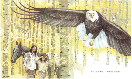 西雅圖酋長的宣言-精裝