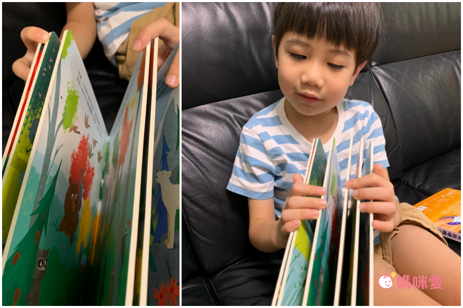 【禾流文創】拿起手電筒，來場夜間探險！『Spotlight！夜遊系列』