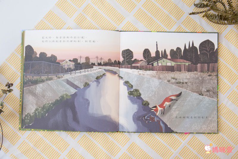 小狐狸回家-精裝圖畫書