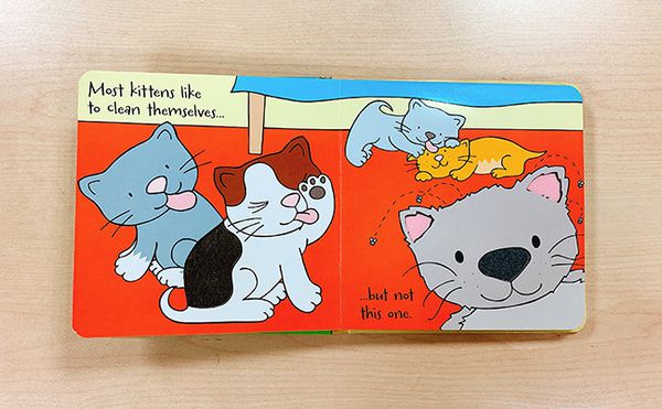 人氣外文操作書✭部落客都推薦的百葉窗書 / 觸摸翻翻書/ 推拉操作書