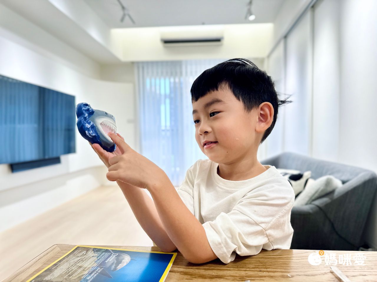 NATIONAL GEOGRAPHIC - 國家地理頻道 探秘鯊齒挖掘套組