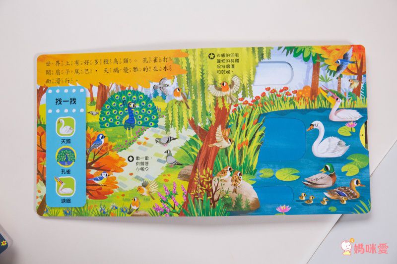 ★打造聰明好腦袋★益智翻翻小百科 / 童趣推拉轉操作書大集合！