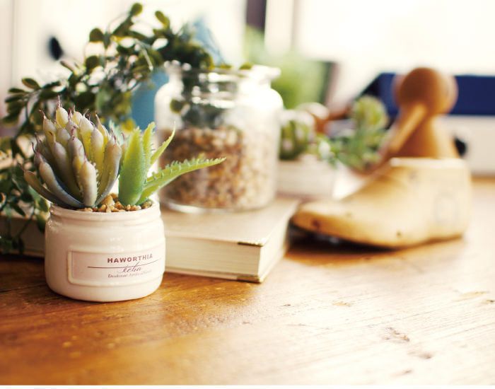 日本 KISHIMA - CT觸媒 消臭仿真多肉盆栽迷你三入組-KH-61190