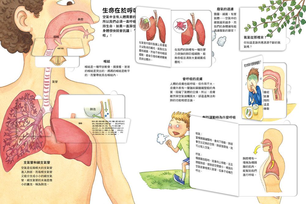 我的STEAM翻翻書：不可思議的身體-內含7個場景+52個翻頁小機關