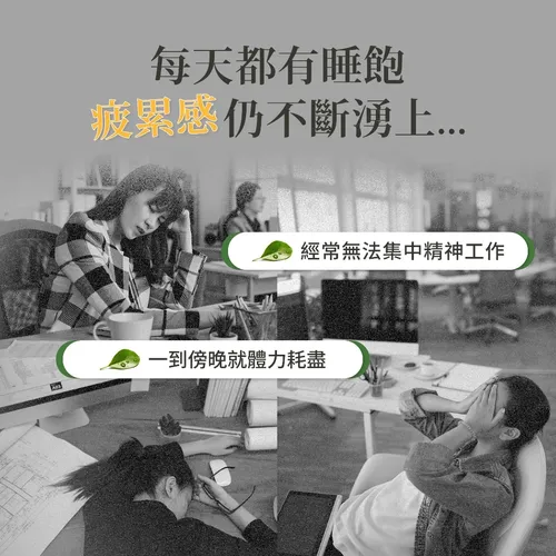 Sanct Bernhard 德國百年草本-Herbafit 維生素B12 1000mcg 錠狀 (180顆/罐)