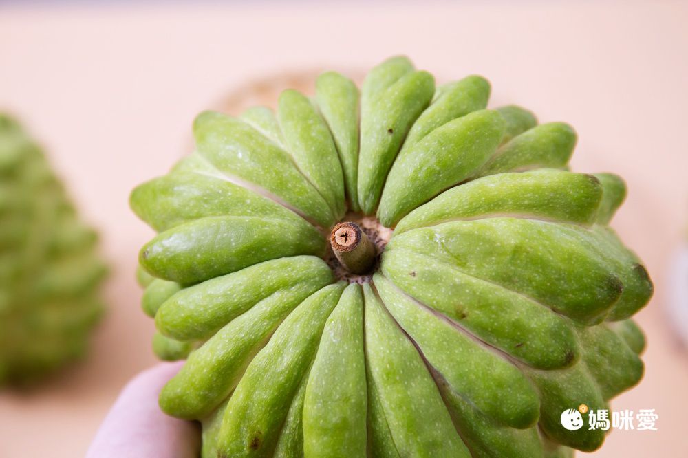 外銷等級 【台東鳳梨釋迦】超大顆！新鮮現採，產地直送。