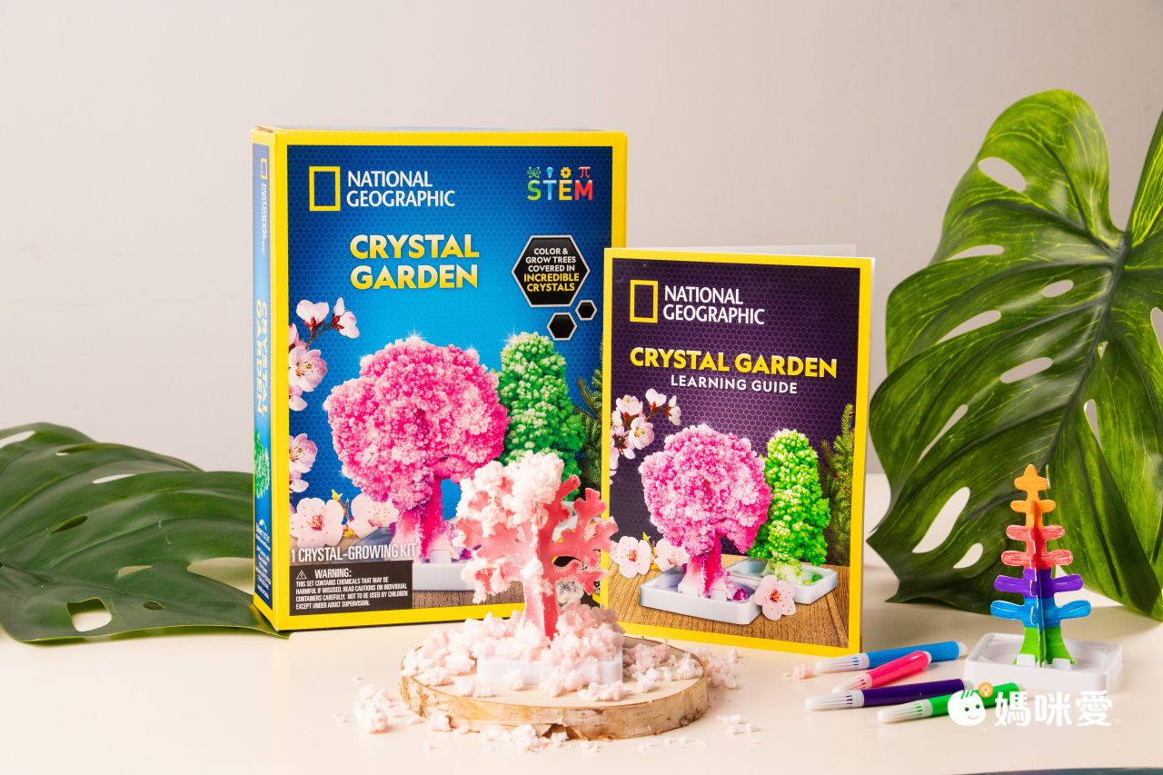 NATIONAL GEOGRAPHIC - 國家地理頻道 紙樹開花(水晶花園實驗套組)