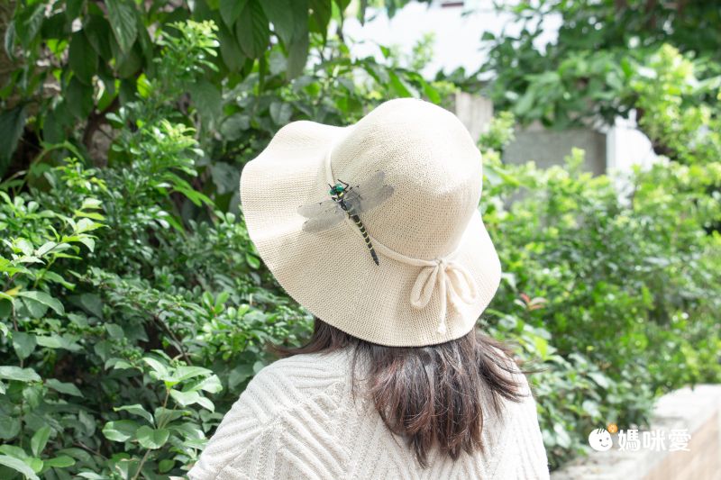 日本代購 - 超仿真蜻蜓君別針/吊飾-無霸勾蜓-黑x黃 (12x10.5cm)