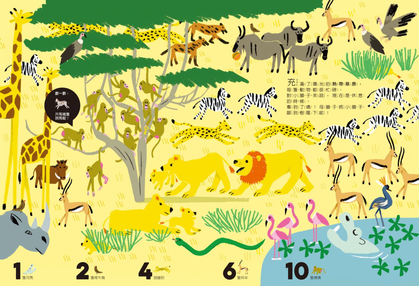 數一數找一找眼力大考驗-1：動物世界