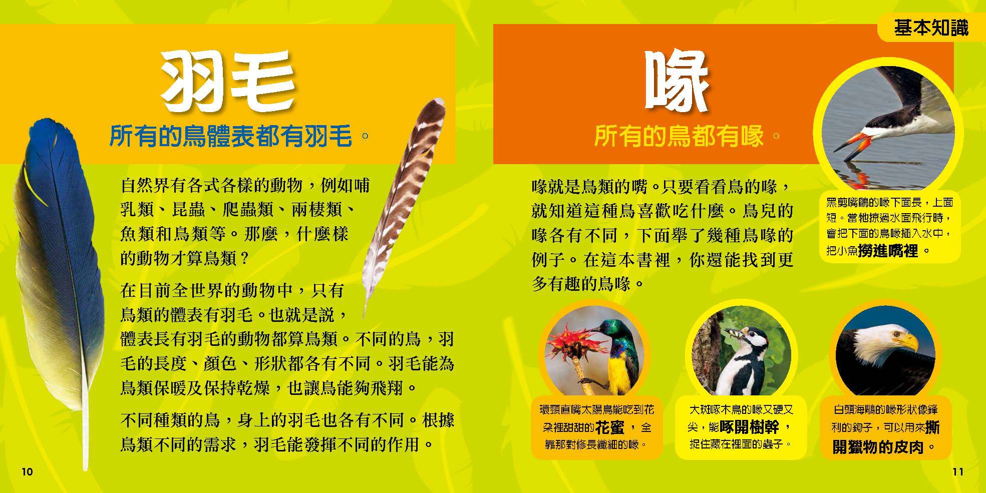 國家地理小小鳥類探險家 (精裝 /128頁 /全彩印刷)