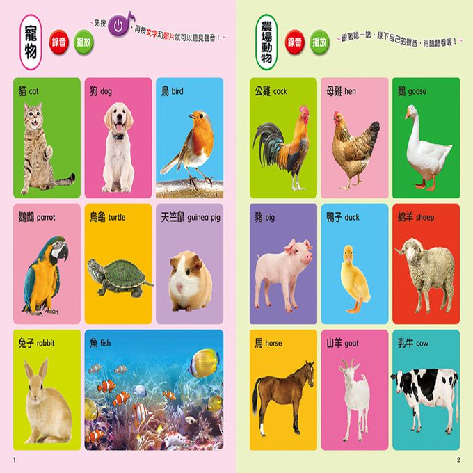 用手指點一點會說話有聲書：寶寶認知圖鑑(點點書7)