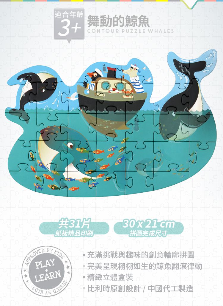 比利時 Scratch - 輪廓拼圖-舞動的鯨魚-31片