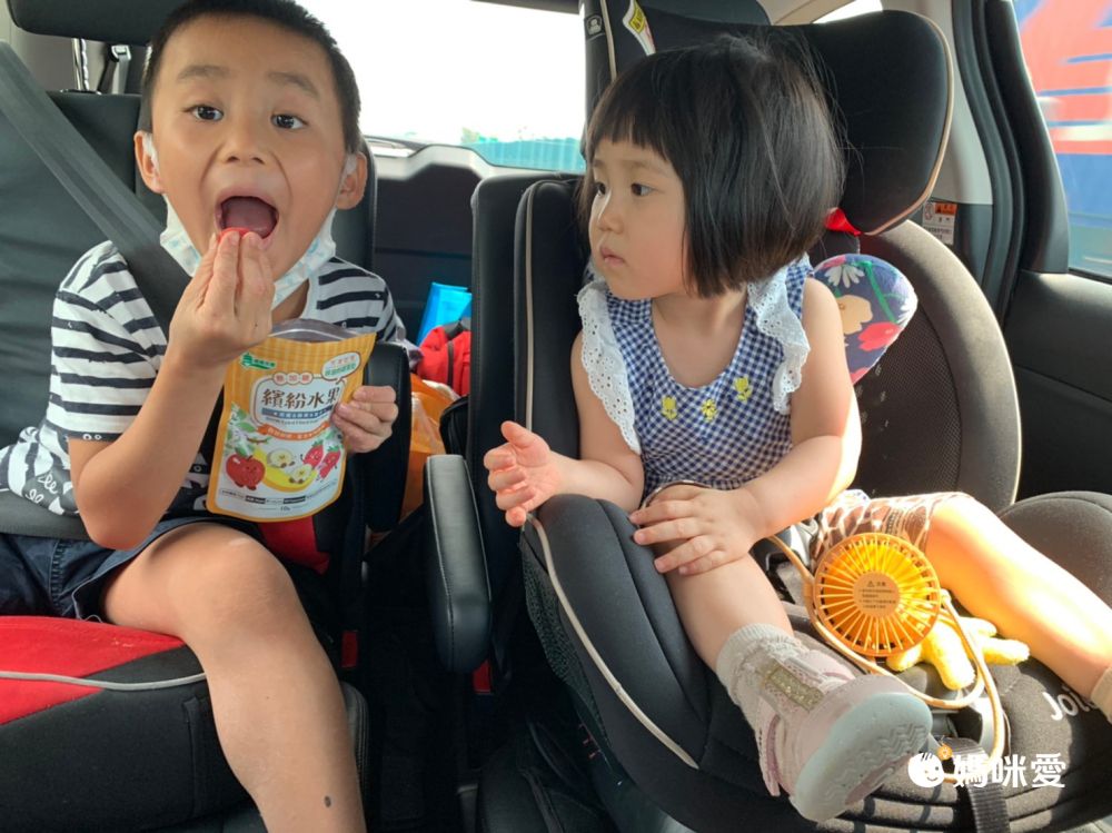 最健康的幼兒零嘴【義美生機】冷凍真空乾燥果乾、黑豆茶