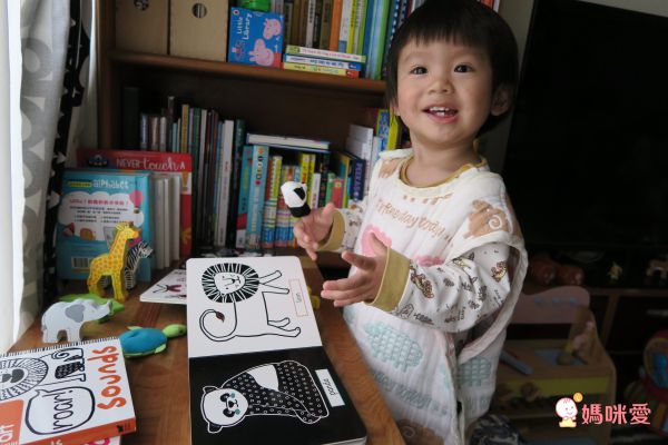 0歲培養親子共讀❤療癒系英文厚頁書 / 音效書 / 觸摸書
