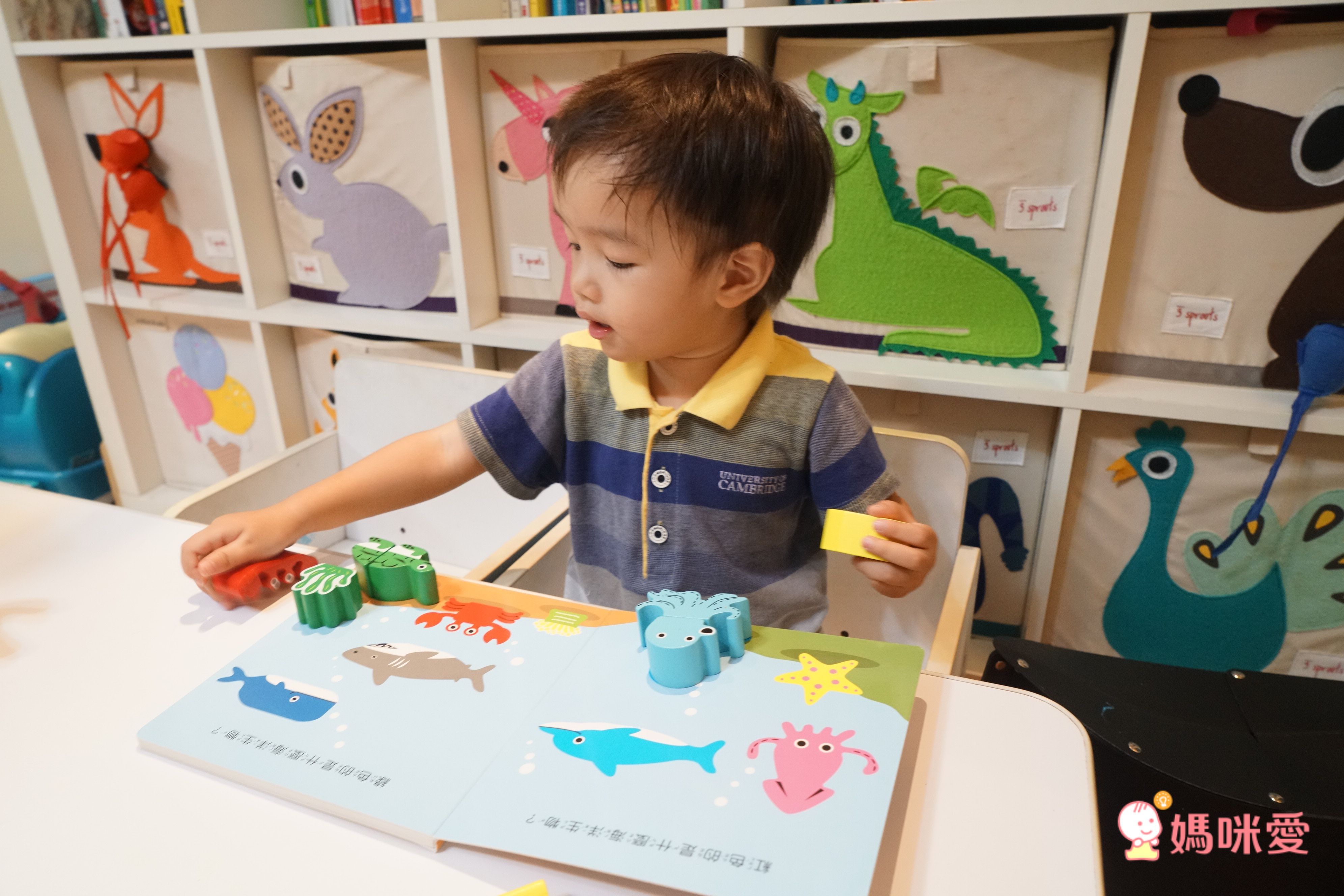 【生活自理】把飯吃光光＋刷牙小小兵＋五感套書＋字母積木書