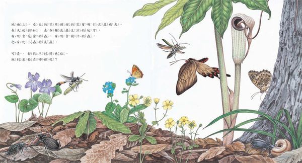 獨角仙在哪裡？