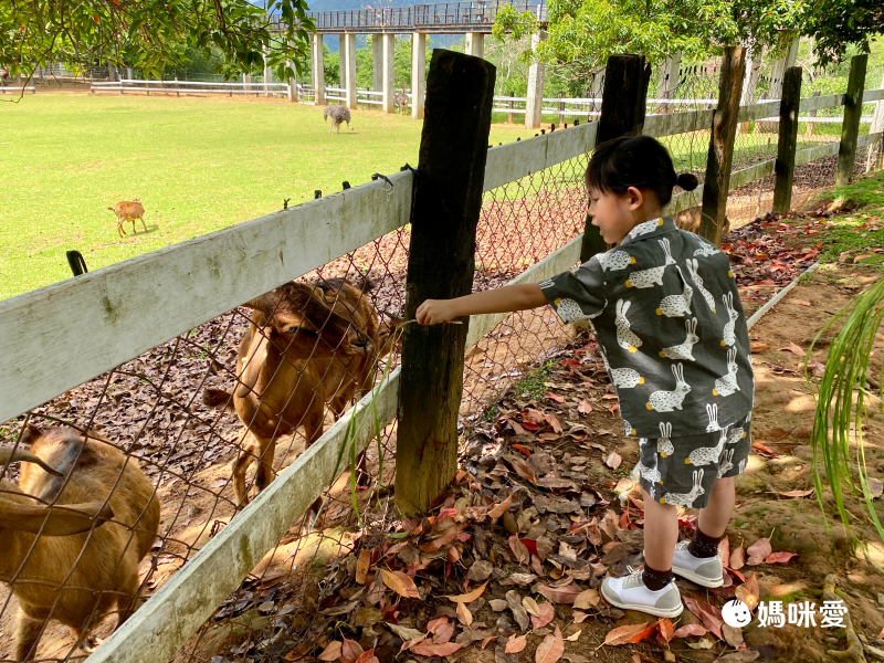 立麗大酒店 ☼ 最多一泊三食直接升等四人房住宿券