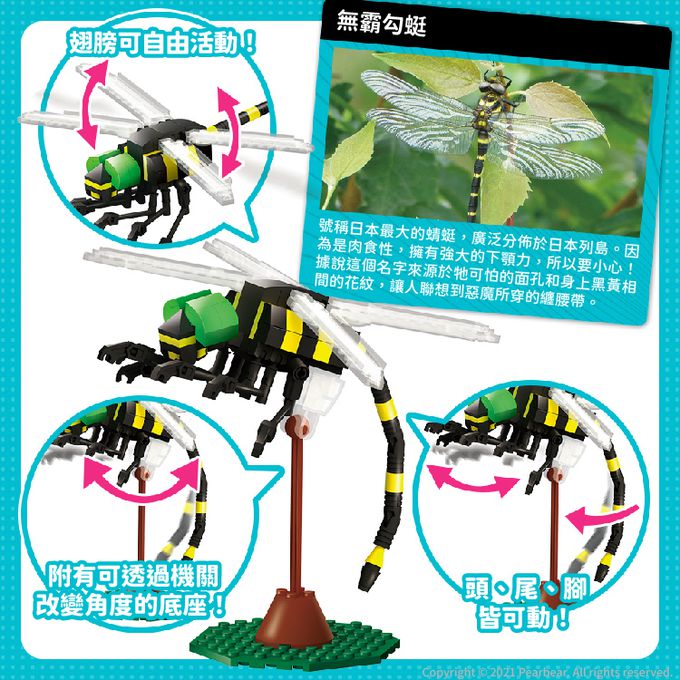 日本 Silverback - 可動擬真積木-無霸勾蜓