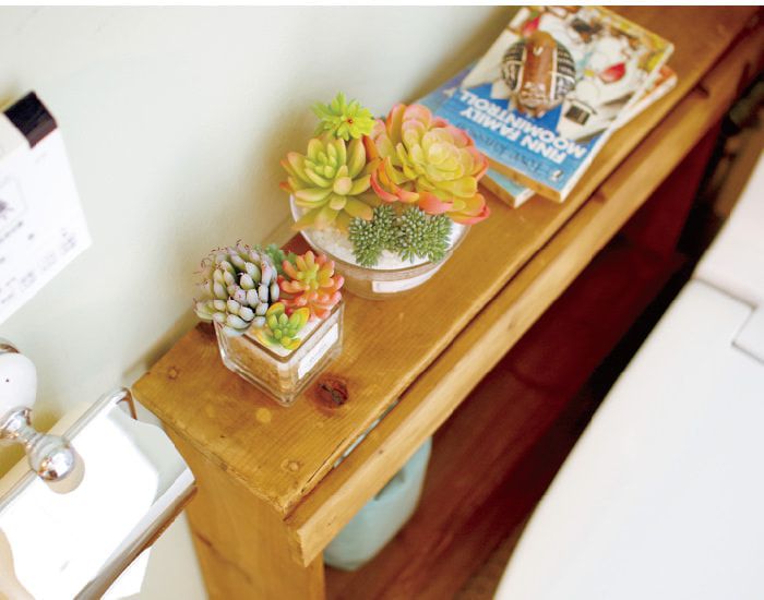 日本 KISHIMA - CT觸媒 消臭仿真多肉盆栽-方盆-KH-61181 (10x9x11cm)