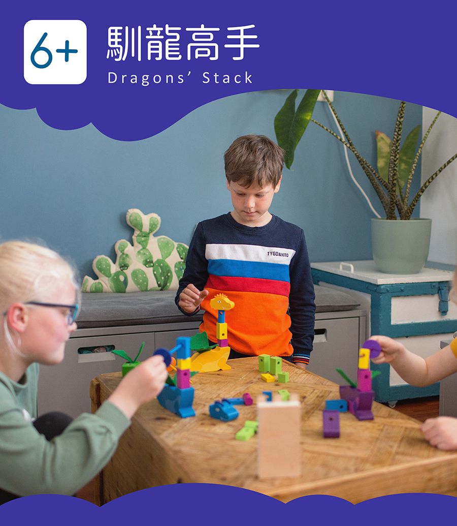 荷蘭BS - 馴龍高手