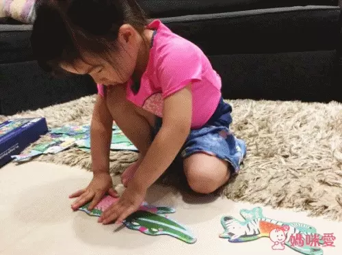 MiDeer - 大地板拼圖 - 海洋世界-28片