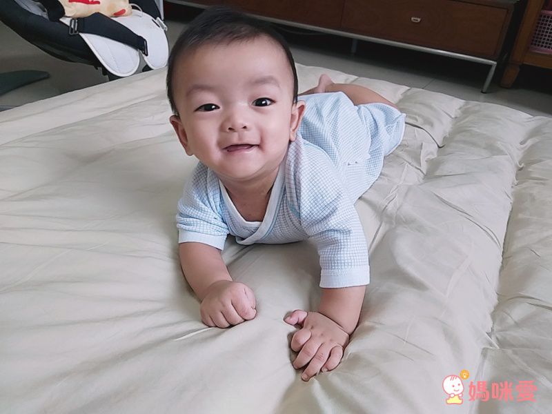 日本 Combi - mini系列-純棉紗布蝴蝶衣-白熊(粉紅格紋) (60-70)