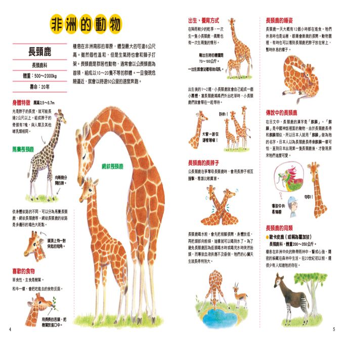 野生動物生態繪本