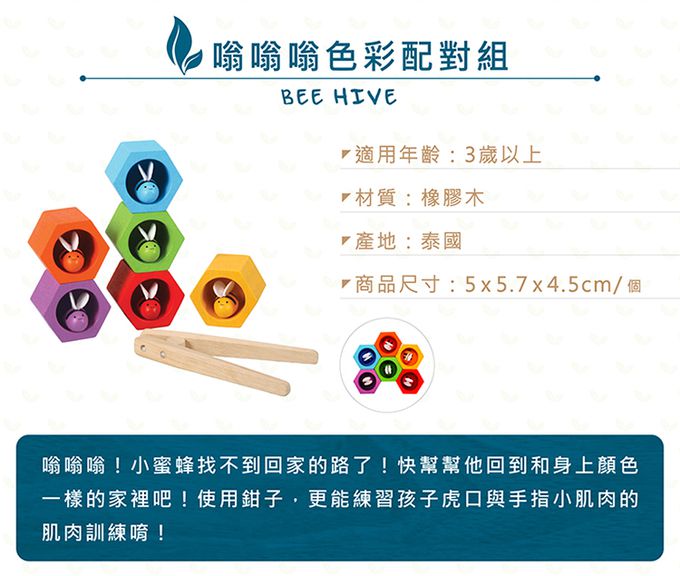 泰國 Plantoys - 嗡嗡嗡色彩配對組