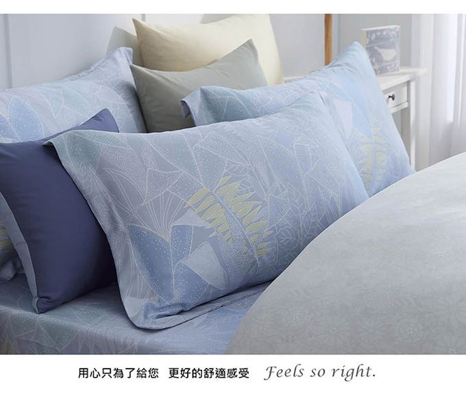 鴻宇 HongYew - 雙人兩用被套/ 天絲300織 / 天絲 萊賽爾 / 艾斯本