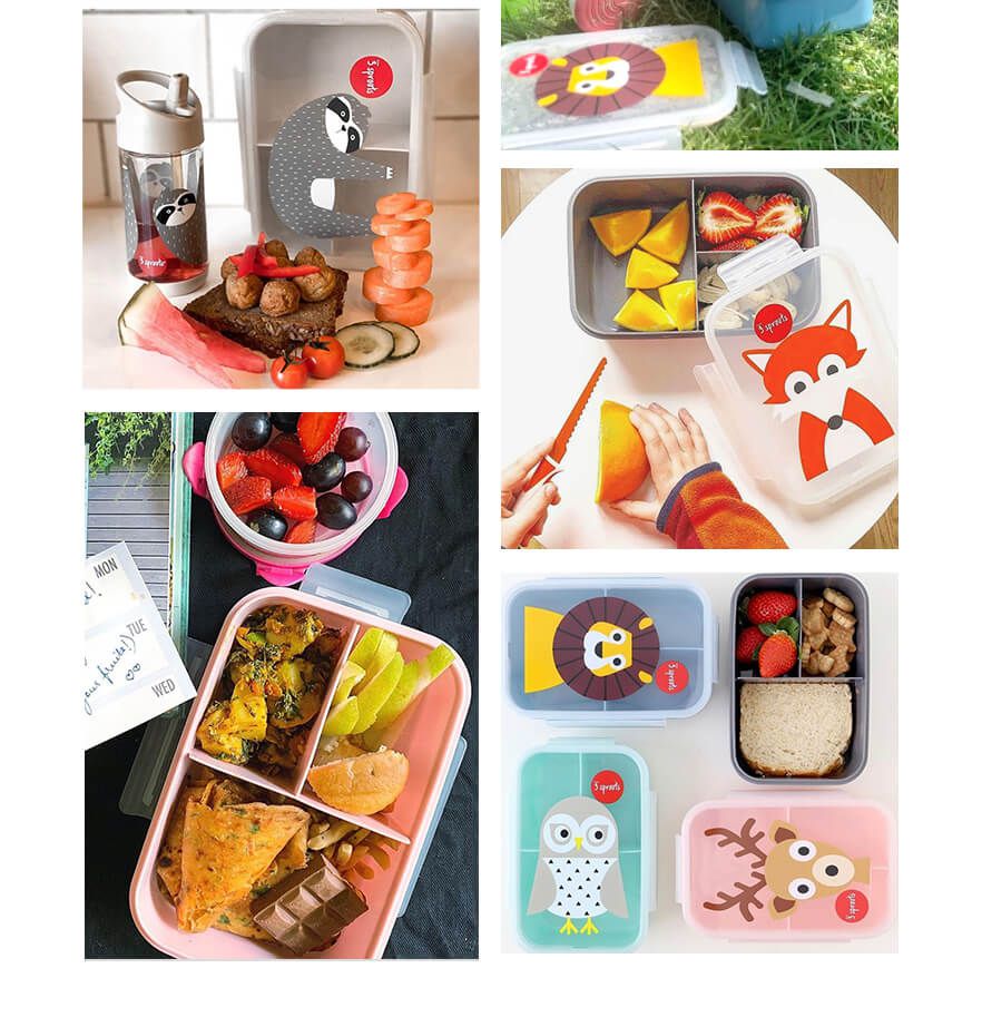 加拿大 3 Sprouts - 午餐盒/便當盒-小鹿