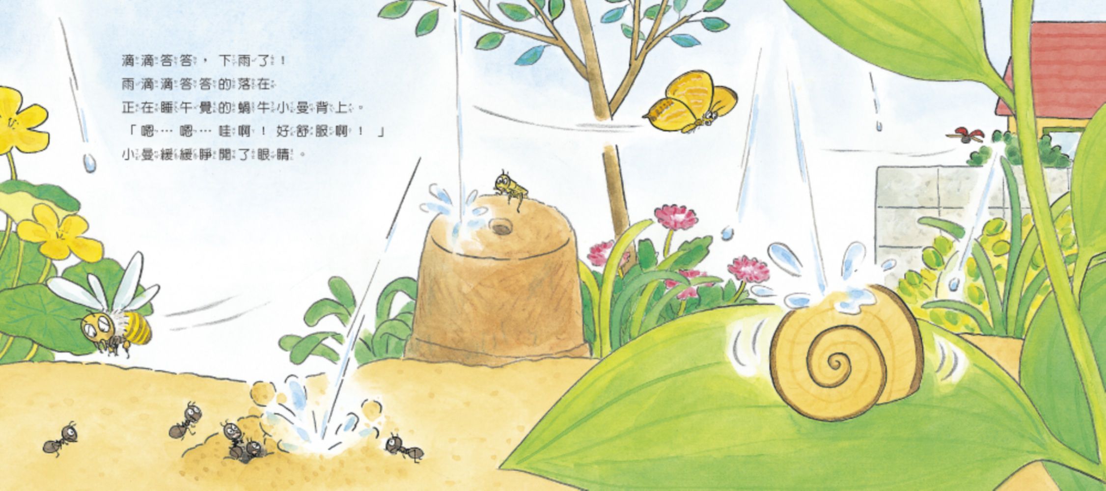 【認識蟲蟲世界】-小蝸牛愛下雨