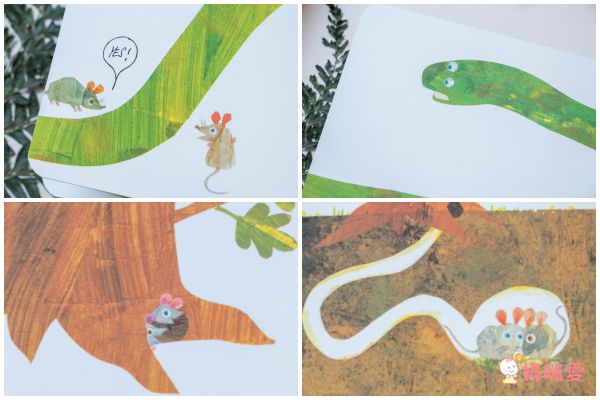 全球知名童書大師艾瑞卡爾Eric Carle ★英文認知硬頁書★ 一歲就能入手～給幼兒最棒的英文學習禮物！