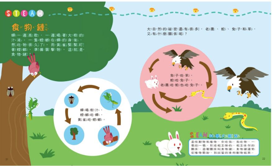 小小科學家：STEAM 在家玩實驗-內含實驗材料包7組+趣味小實驗11個+科學小知識22個