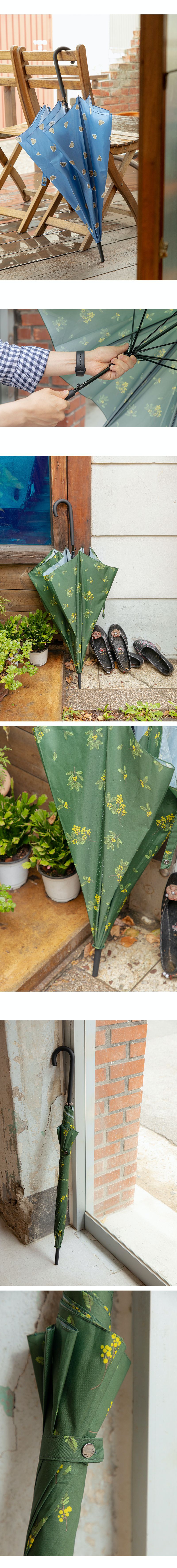 韓國 Daily Like - 直立式長雨傘-含羞草-深綠