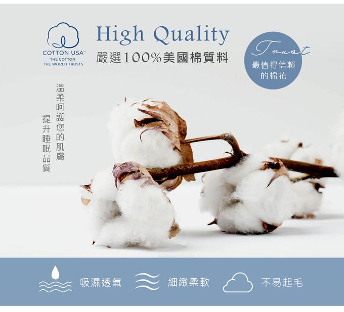 鴻宇 HongYew - 300織美國棉 涼被 四季被-狐狸艾莉森 可可 (5x6.5尺)